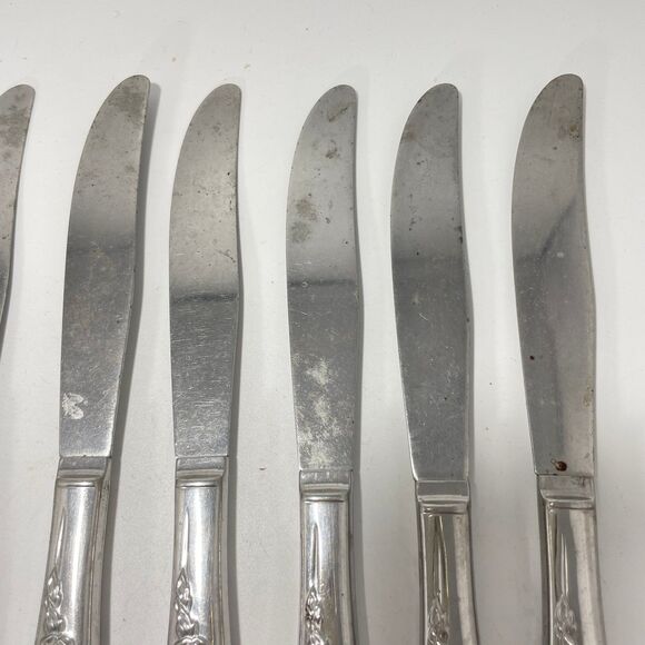 Lot of 9 Oneida Wm A Rogers Premier La Rose Stainless Dinner Knives 8.5” - Picture 3 of 8